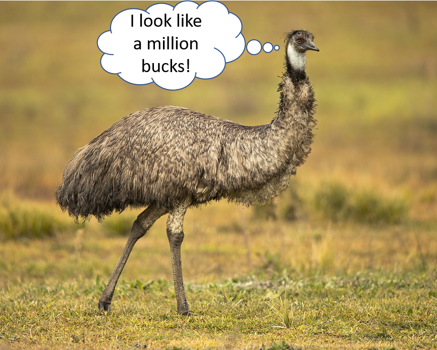 million dollar emu